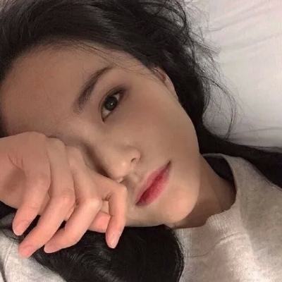 波利大陆游戏下载